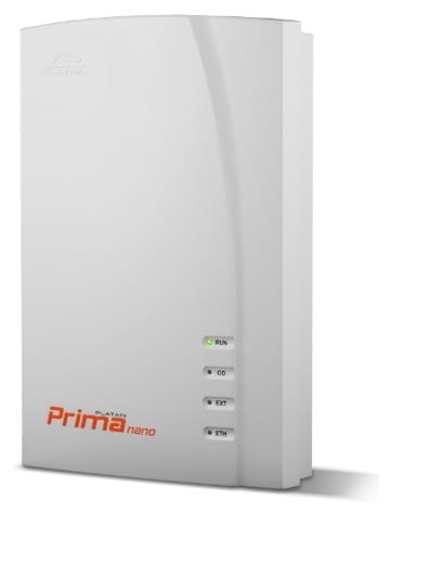 Platan Prima 01c